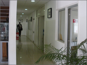 Accueil et réception 